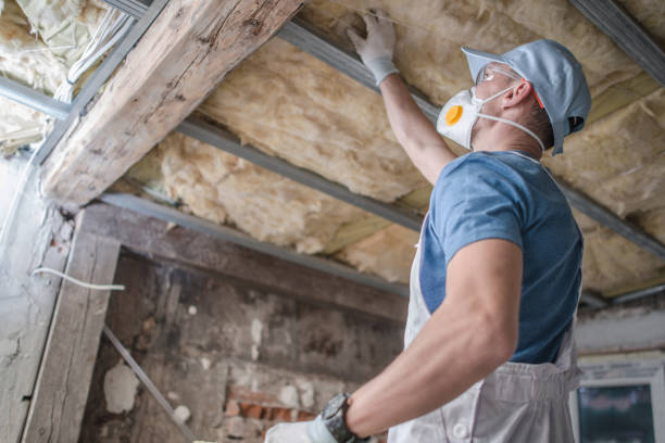 Best Cellulose Insulation in Chapel Hill, TN