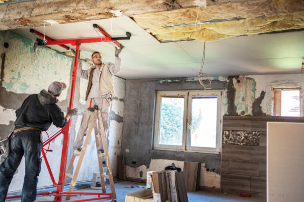 Best Specialized Insulation Services in Chapel Hill, TN