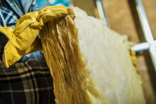 Best Geographic-Specific Insulation Services in Chapel Hill, TN
