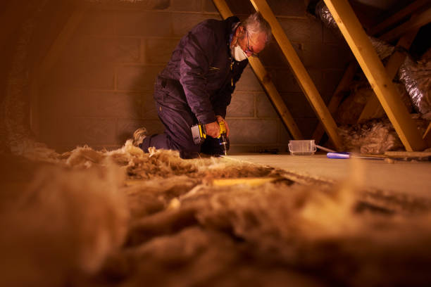 Best Insulation Maintenance and Repair in Chapel Hill, TN